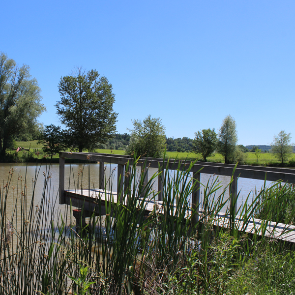 Badeweiher Binzwangen Colmberg: Steg am See