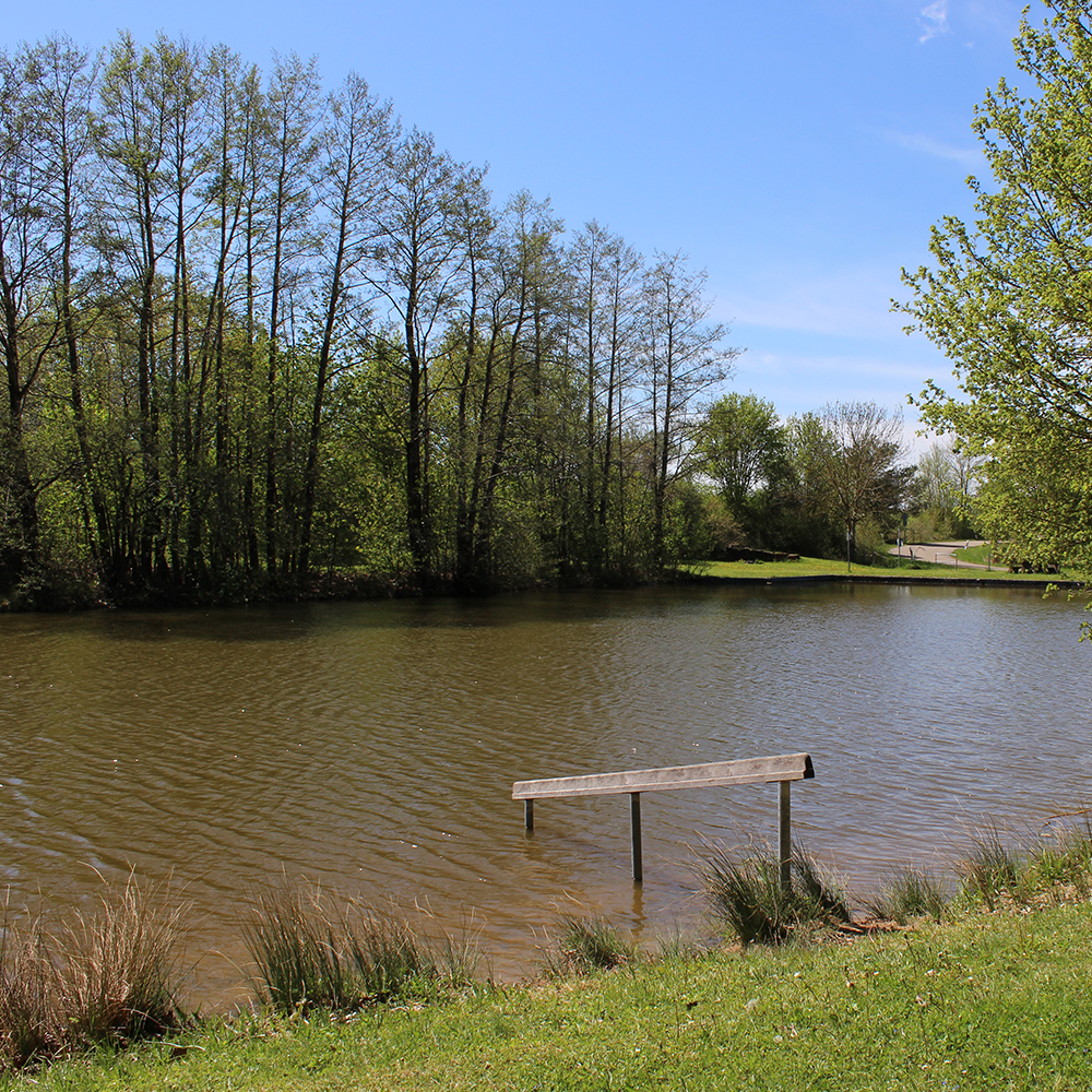 Flacher Einstieg in den Badeweiher Colmberg