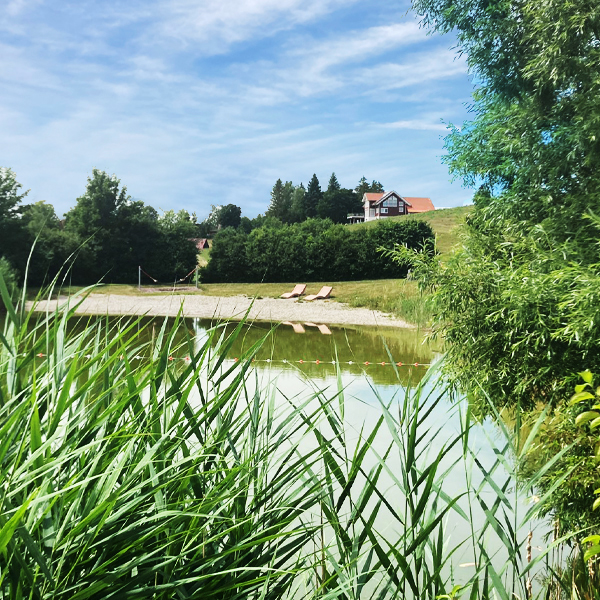 Badeweiher Diebach: Blick auf den Kiesstrand