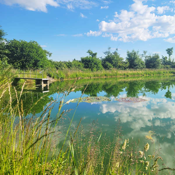 Badeweiher Gailnau