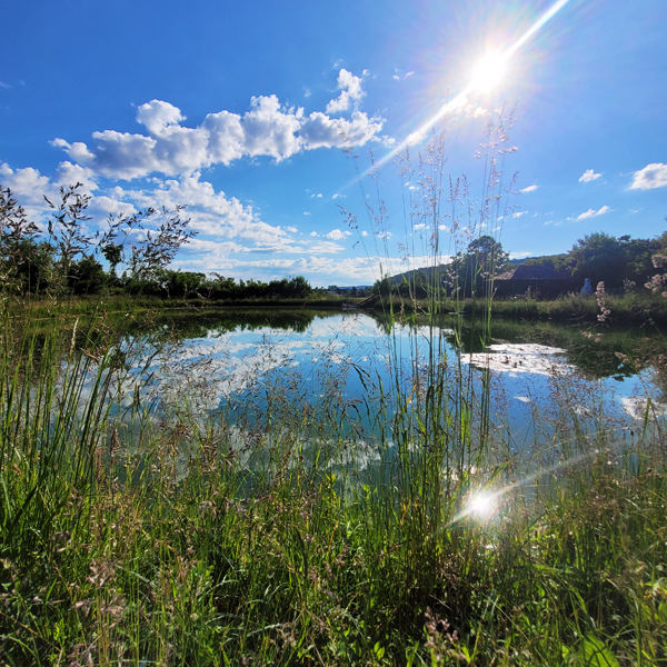 Blick auf den Badeweiher bei Sonnenschein