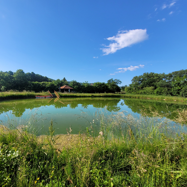 Viel Platz zum Schwimmen im kühlen Nass