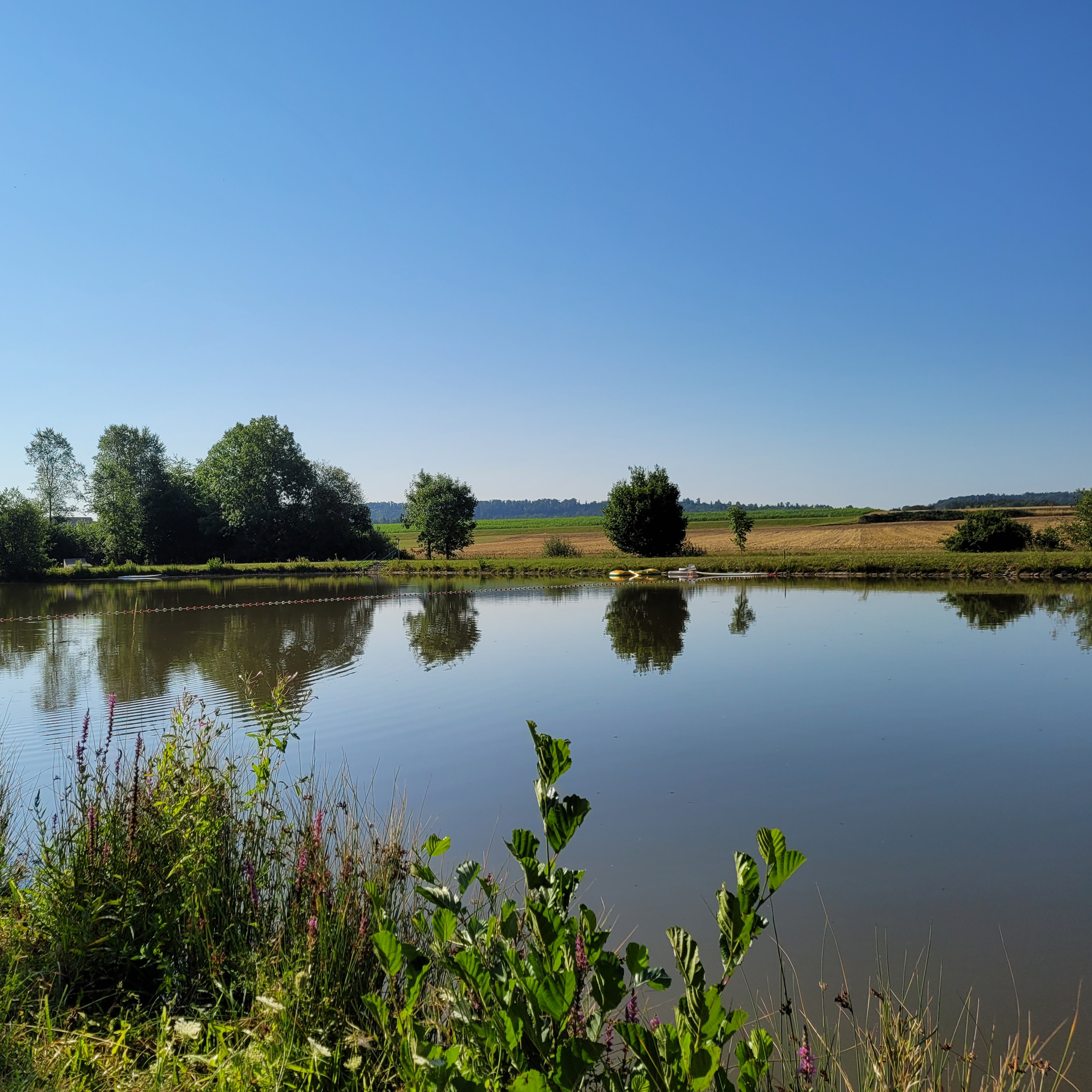 Der Badeweiher in Gailroth bietet viel Platz zum Baden