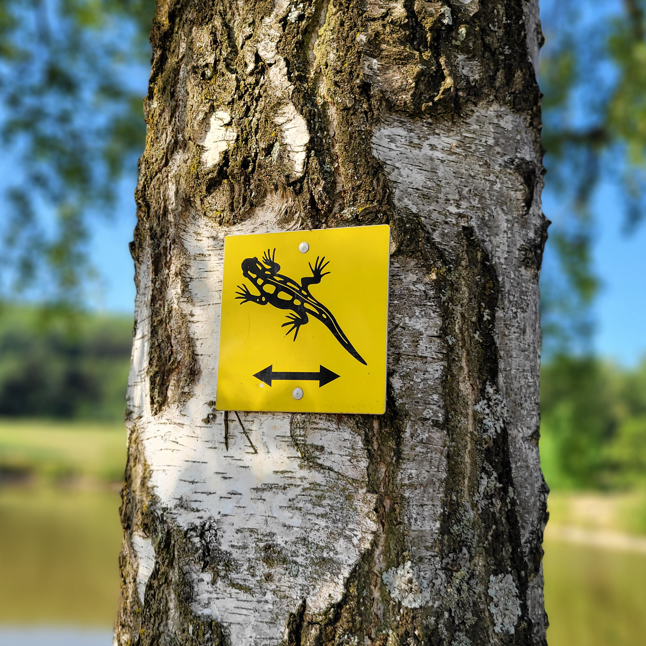 Schild Wanderweg Eidechsenweg