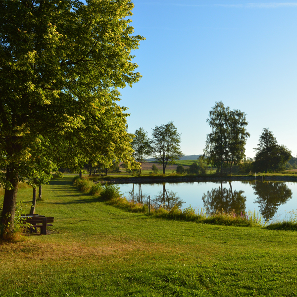 Badeweiher Wildenholz Schnelldorf