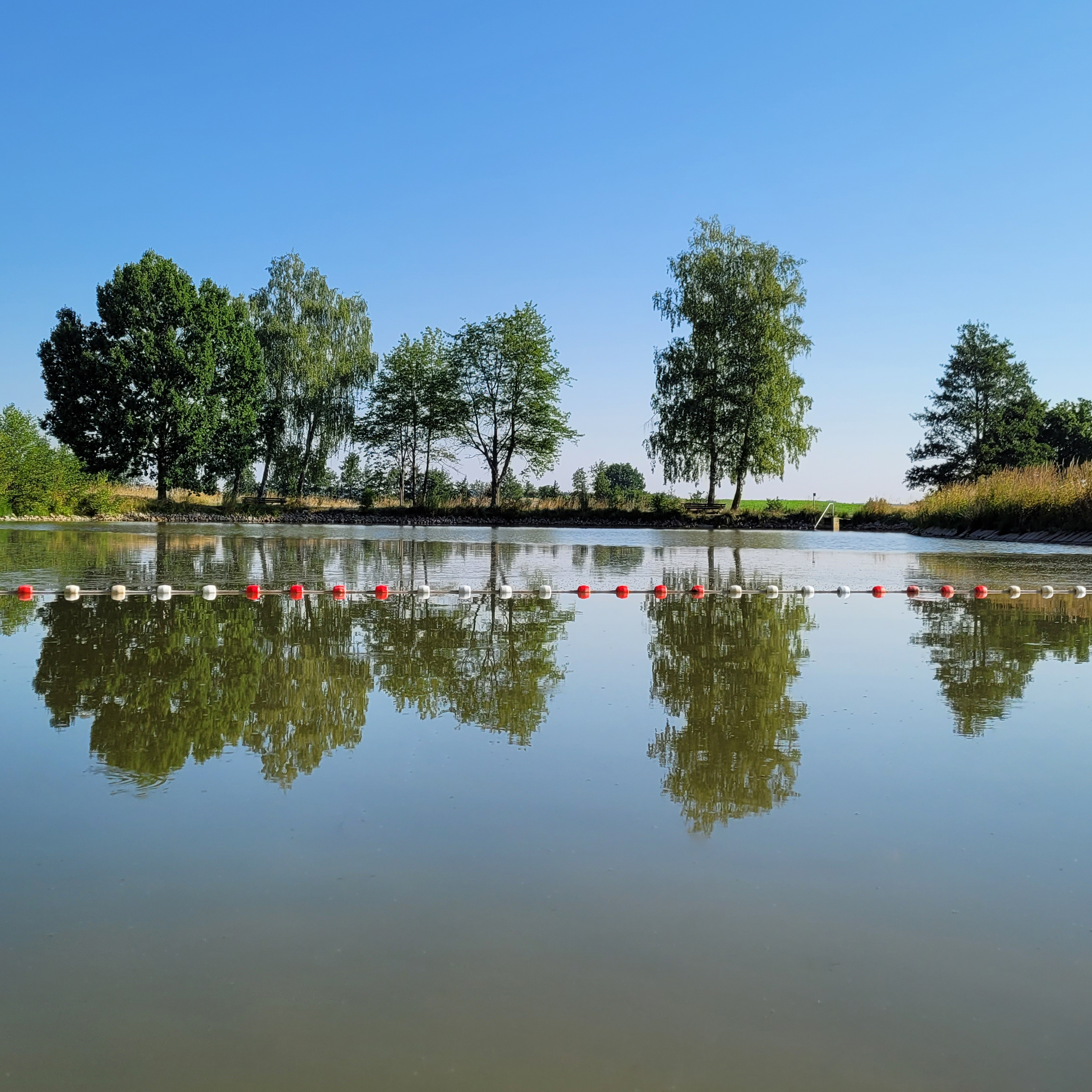 Perfektes Badewetter am Weiher in Wildenholz Gemeinde Schnelldorf