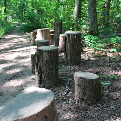 Barfußpfad Windelsbach Baumscheibenweg