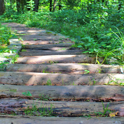 Barfußpfad Windelsbach Baumstammweg