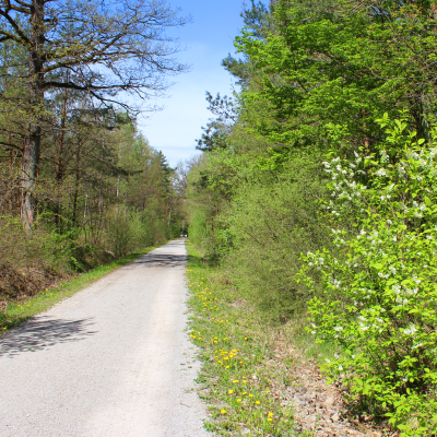 Barrierefreier Wanderweg Colmberg