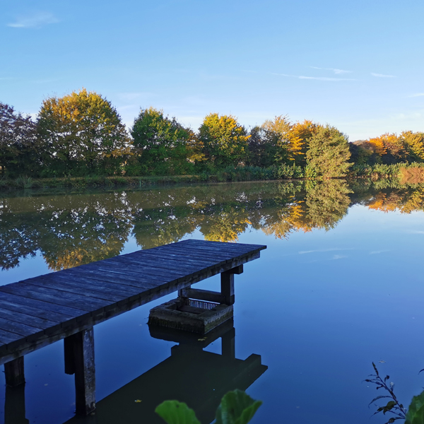 Bastenauer Weiher Steg