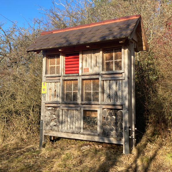 Insektenhotel