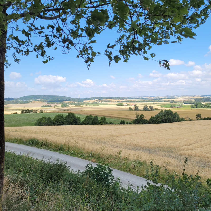 Blick über die Felder bei Oestheim in der Gemeinde Diebach