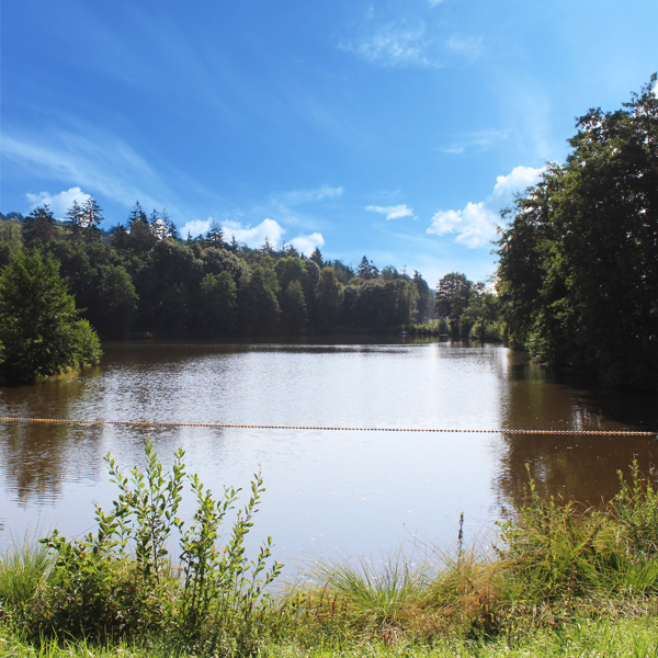 Erlensee Schnelldorf