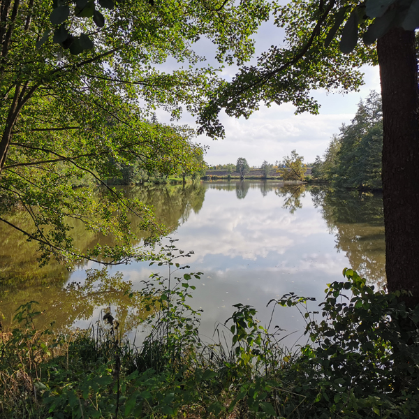 Erlensee Schnelldorf