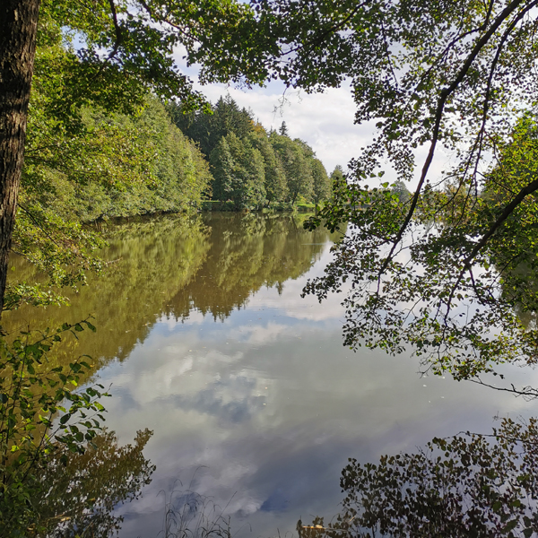 Idyllisch an einer Waldlichtung gelegen: Der Erlensee in Schnelldorf