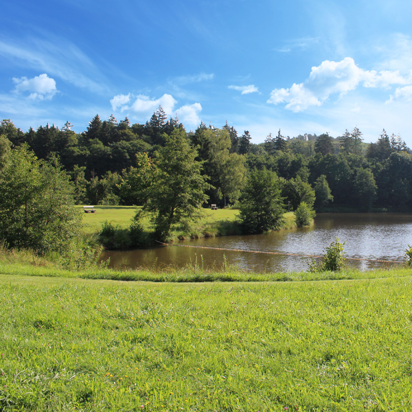 Im Sommer ein Paradies für Wasserratten: Der Erlensee in Schnelldorf