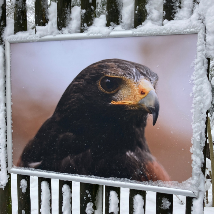 Schild mit Adler am Eingang