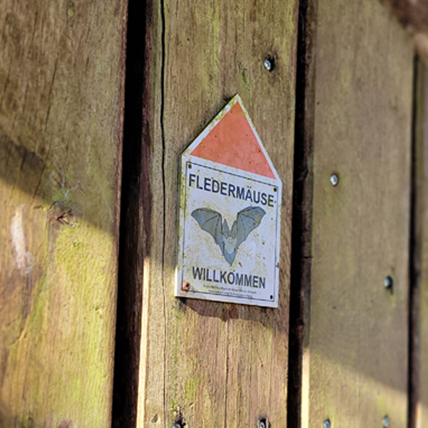Fledermauskeller Wettringen Fledermausschild