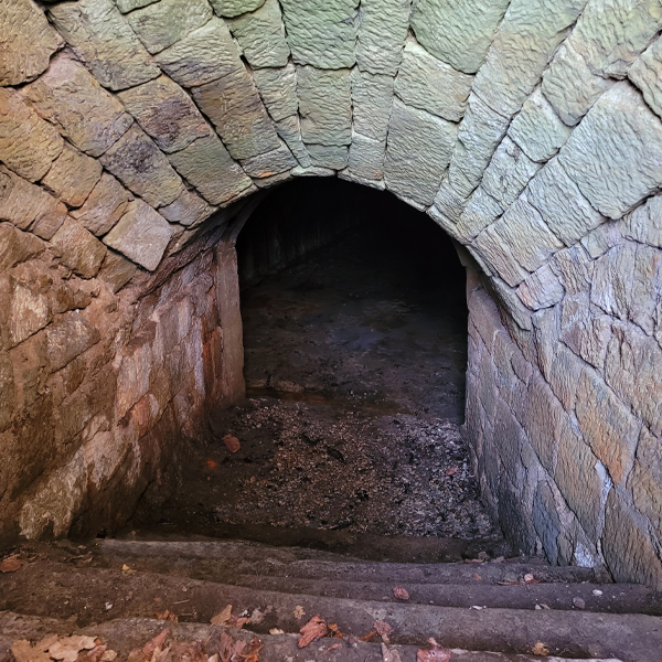 Fledermauskeller Wettringen Treppe in den Keller
