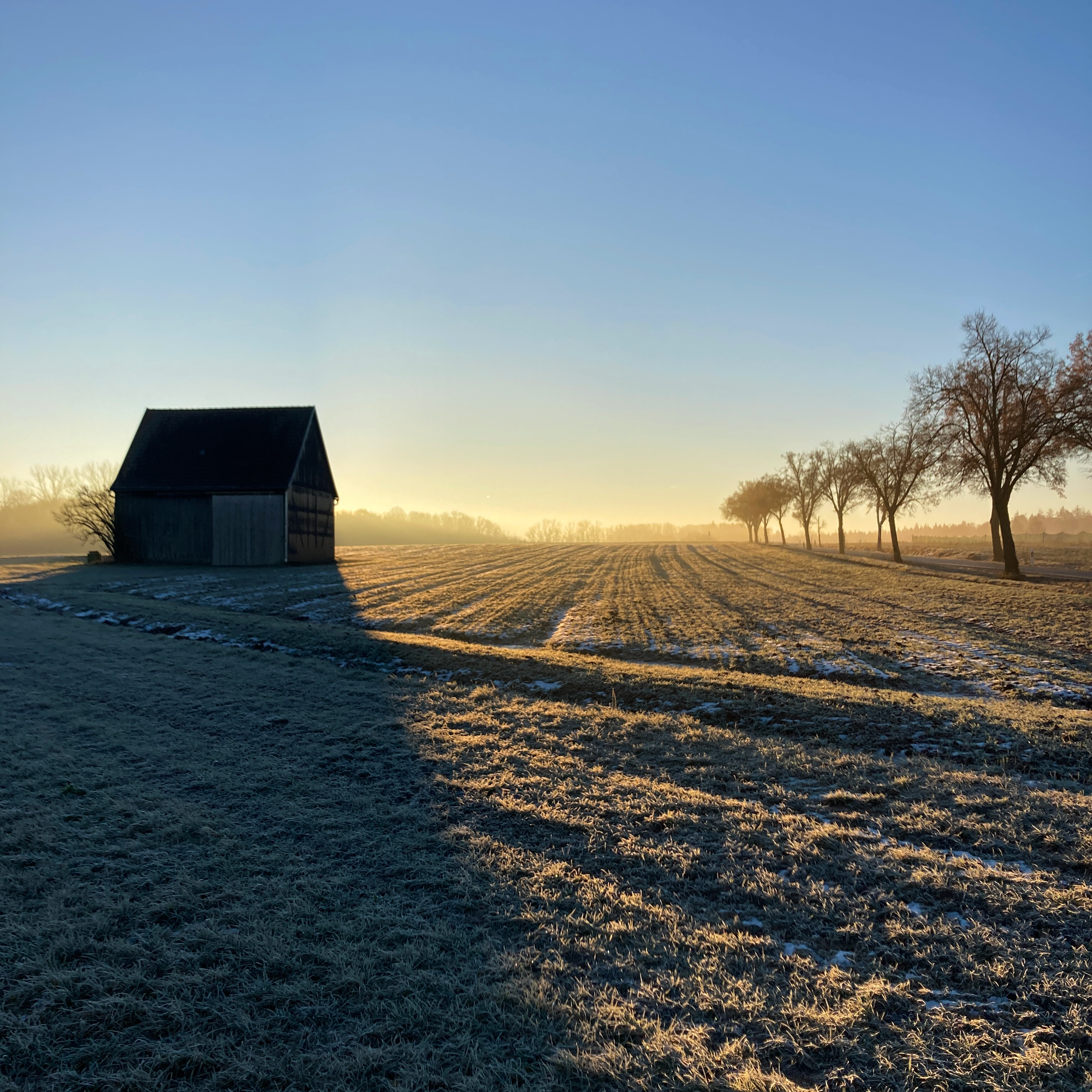 Frostiger Wintermorgen in Schillingsfürst