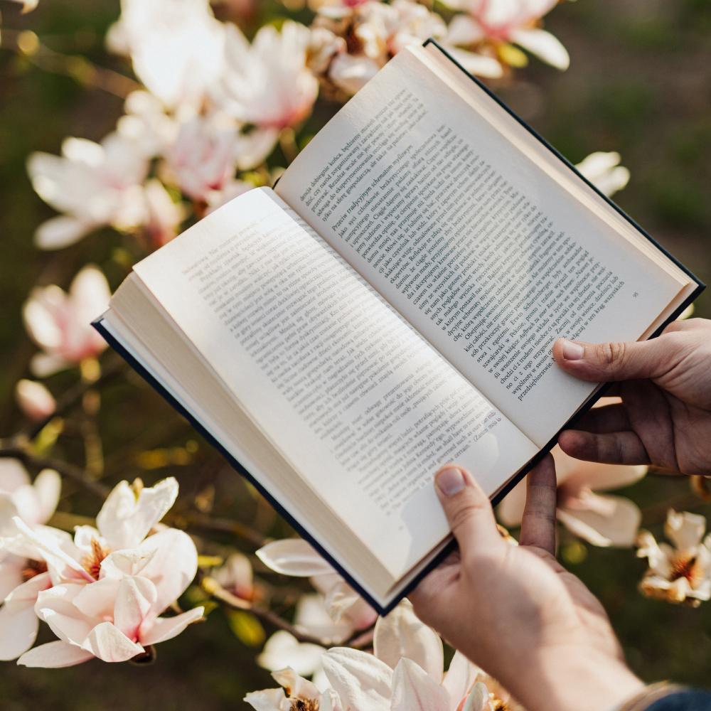 Buch im Park lesen 