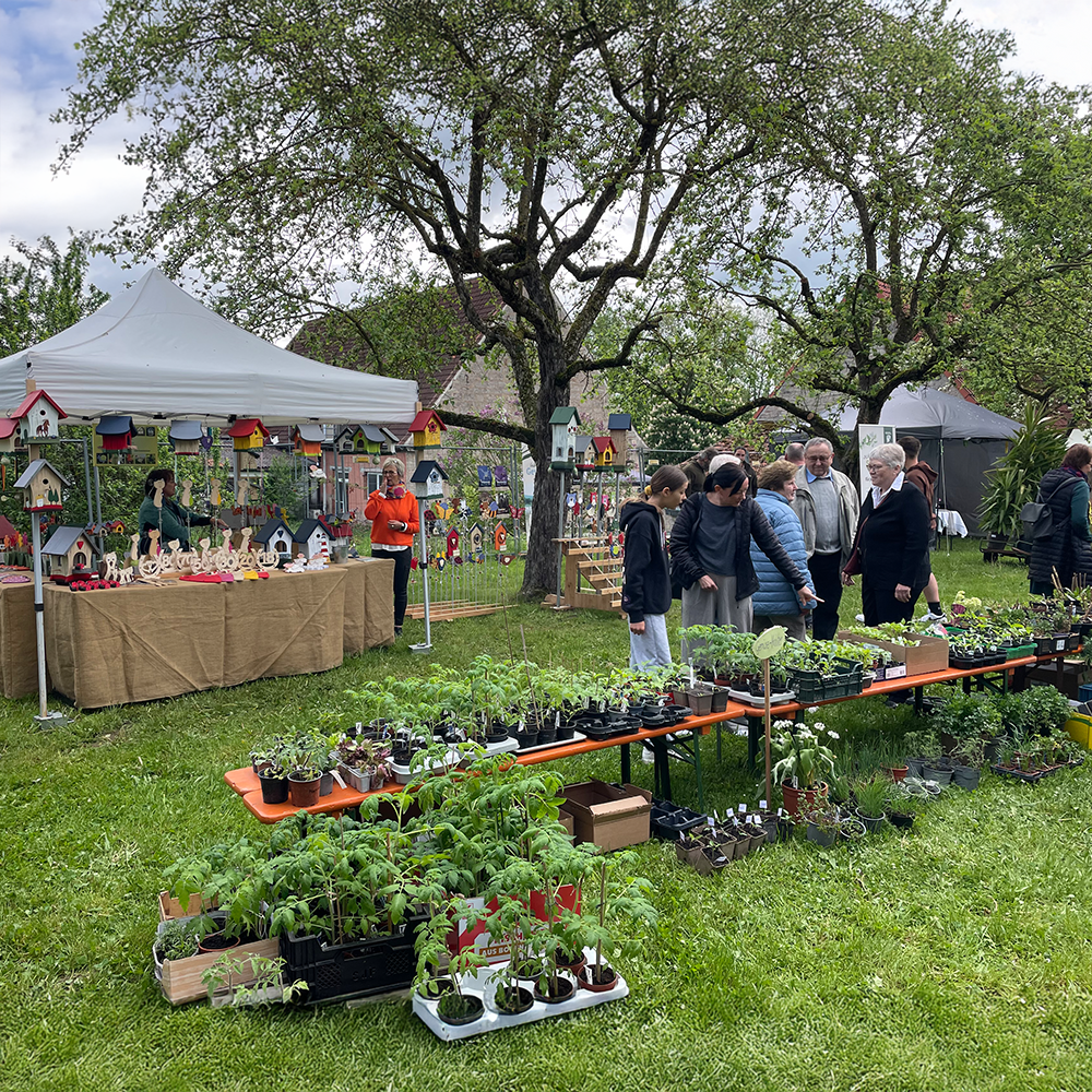 Der Gartenplausch in Steinsfeld 