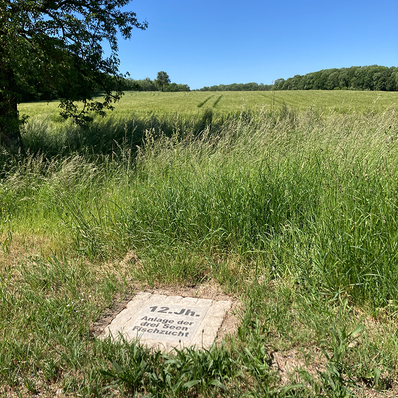 Steintafel unter einem Baum 