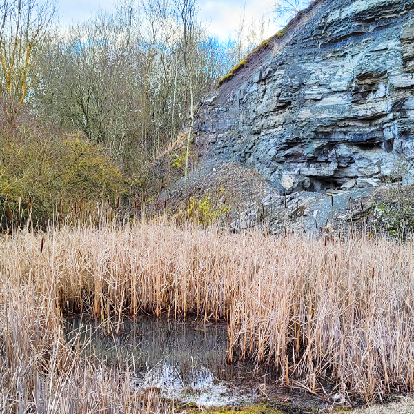 Der Gipsbruch in Endsee