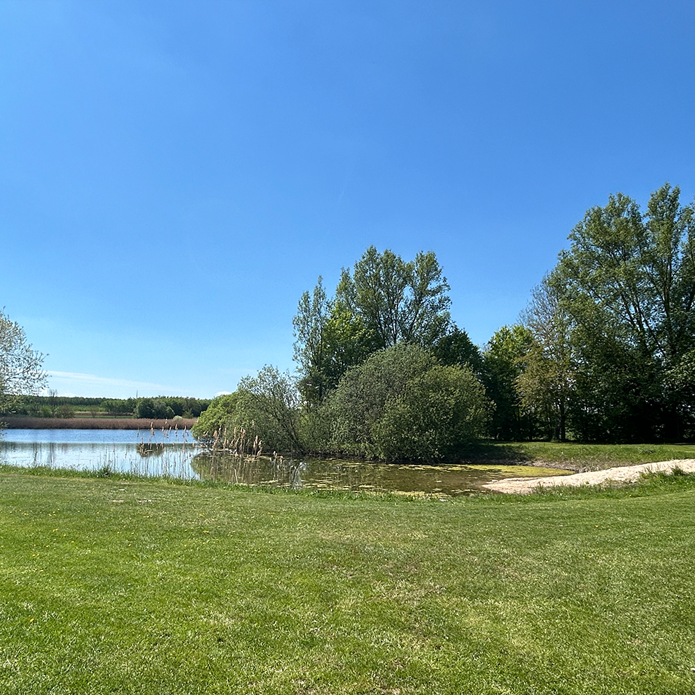 Blick über den Hackenweiher Schopfloch