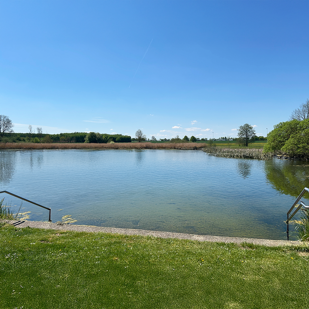Der Hackenweiher in Schopfloch