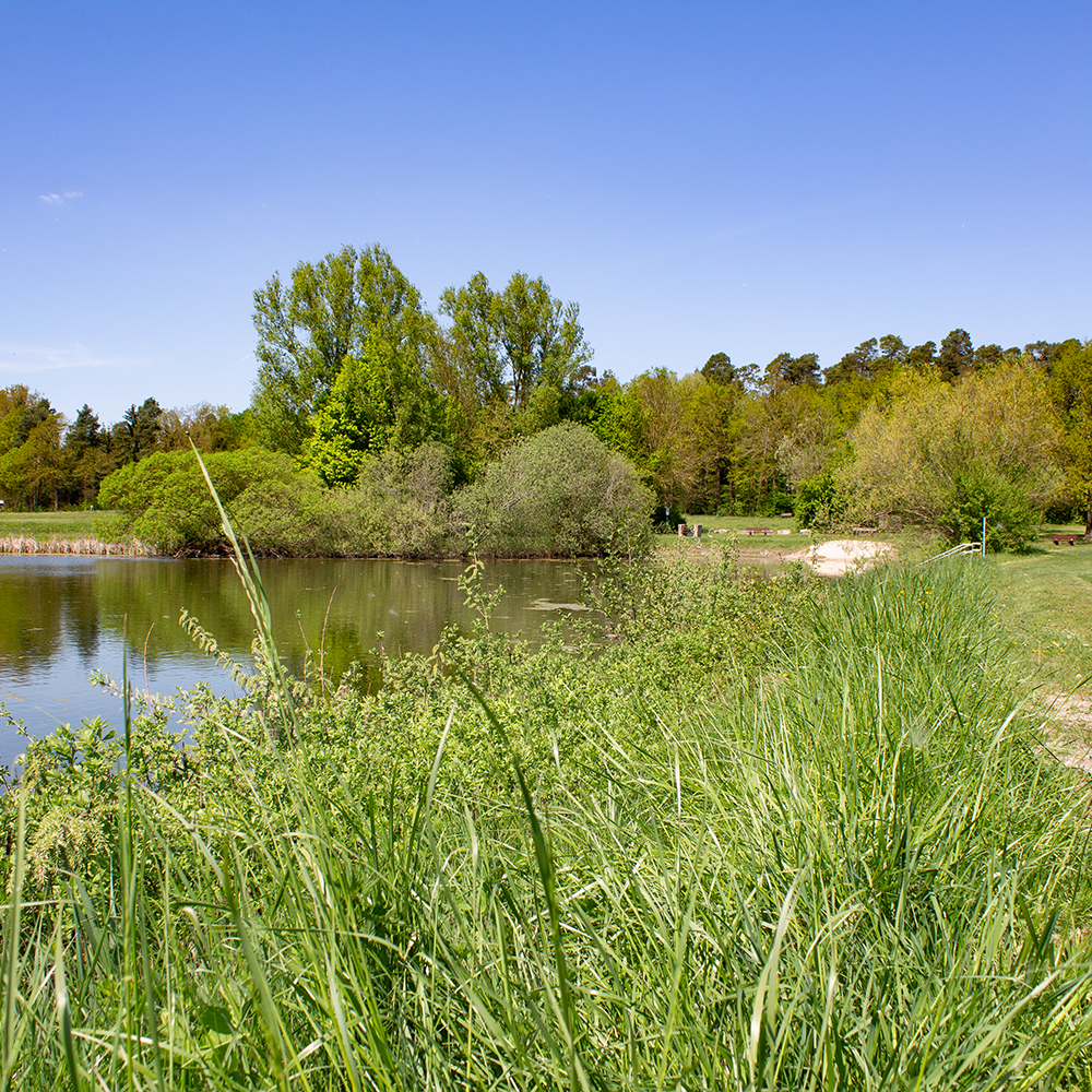 Blick über den Hackenweiher bei Schopfloch