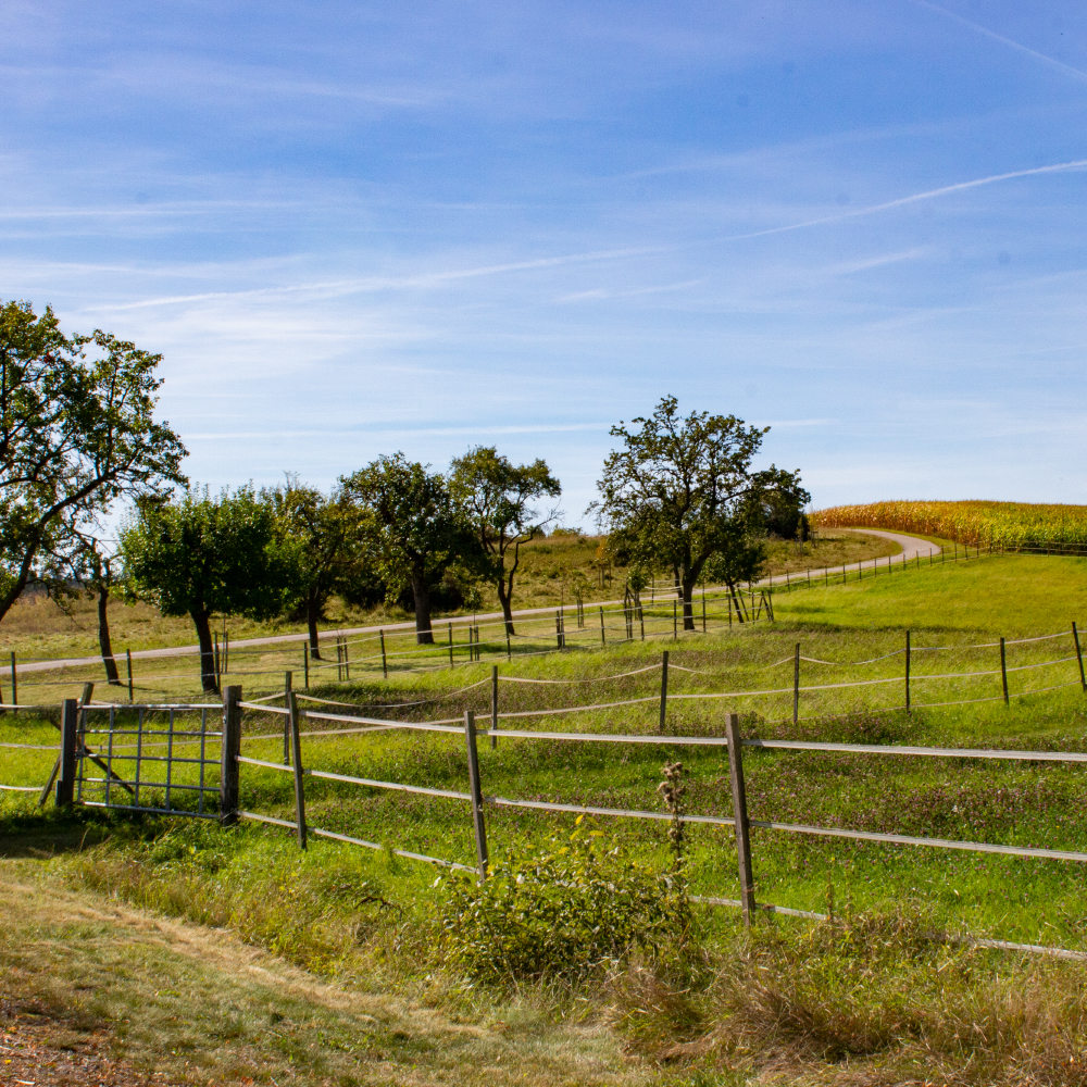 Felder und Wiesen bei H&auml;slabronn