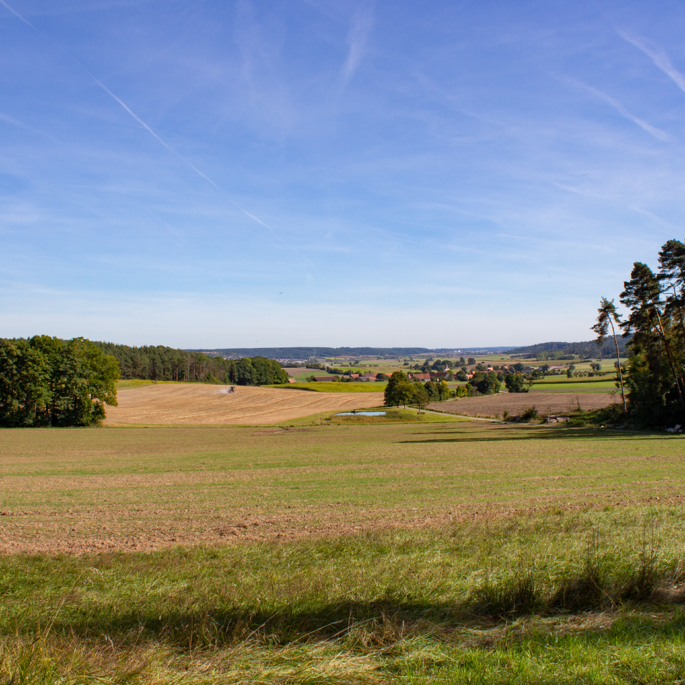 Natur pur in H&auml;slabronn