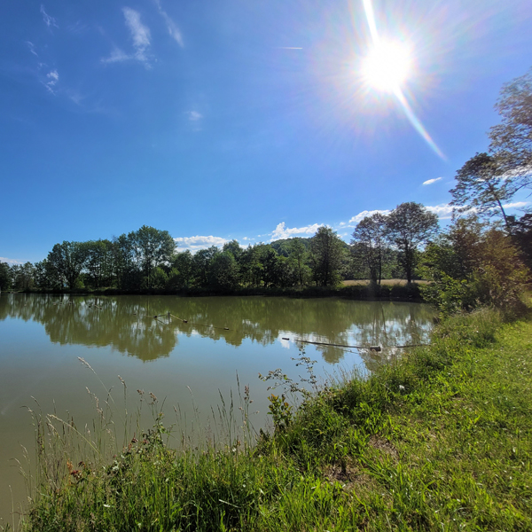 Hardweiher Wettringen