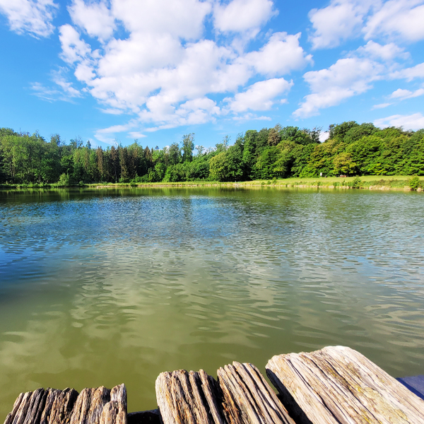 Idyllisch am Waldrand gelegen: Der Hardweiher Wettringen