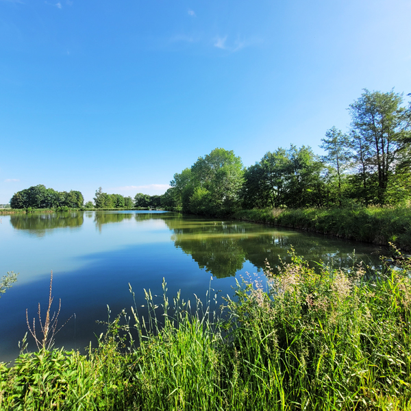 Hardweiher Wettringen