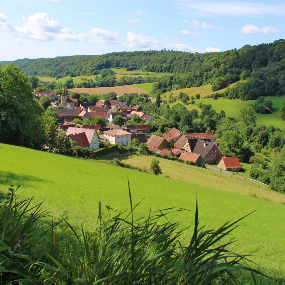 Blick auf die Tauberscheckenbach