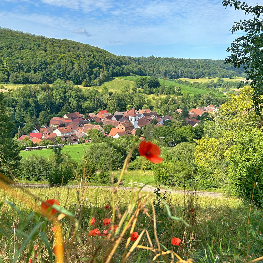 Tauberzell in der Sonne 