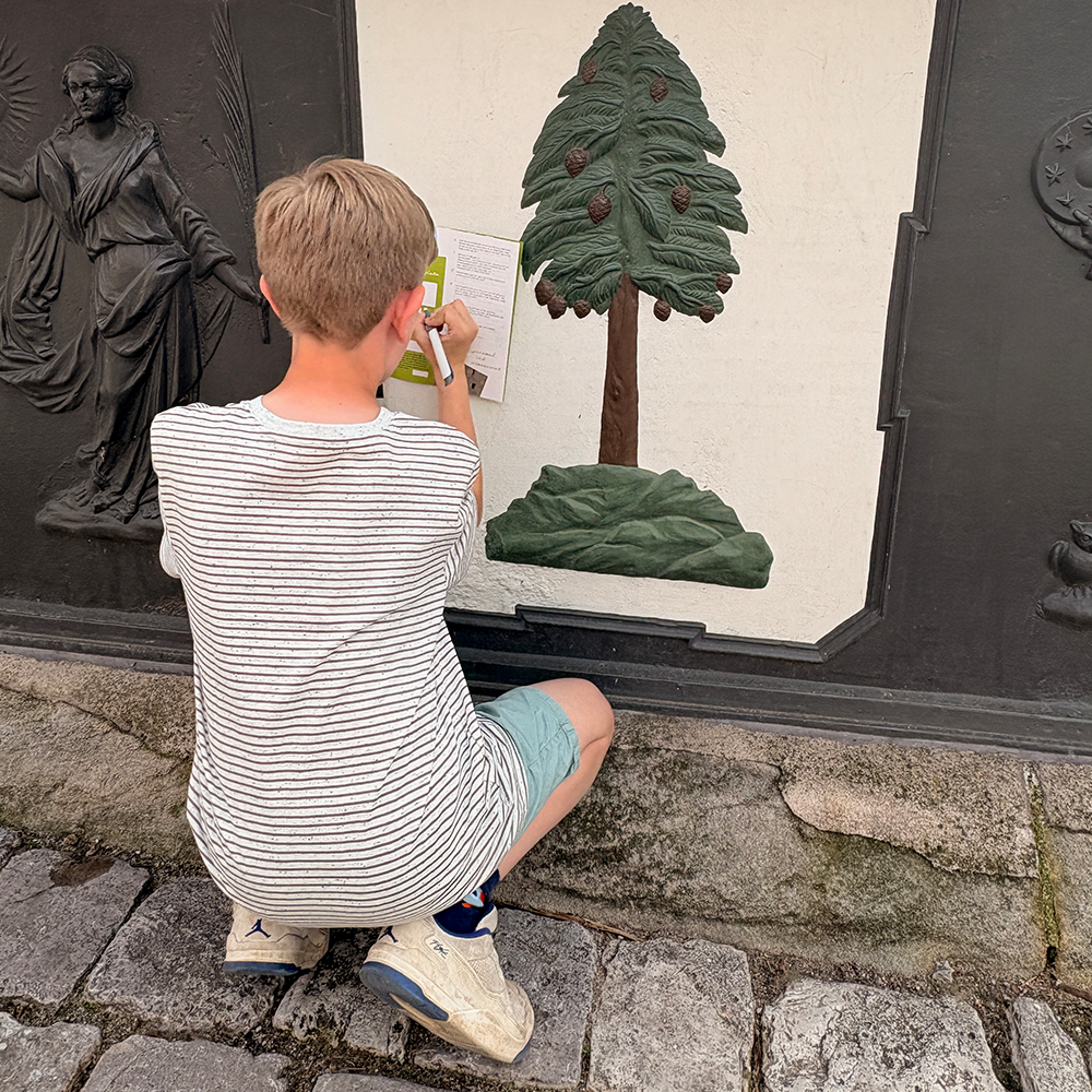 Aufgabe am Marktplatz aus der Kinderstadtrallye