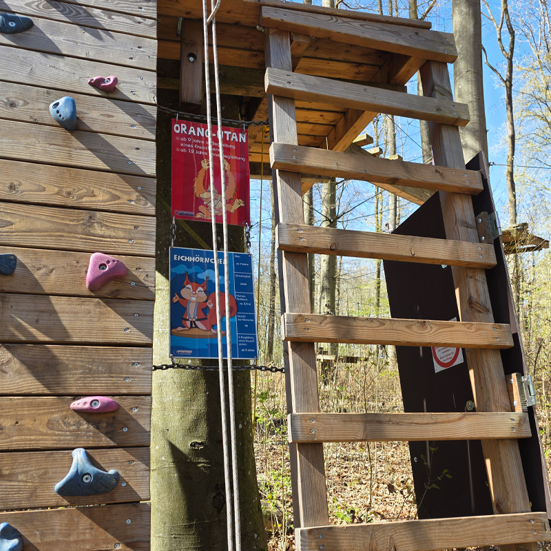 Verschiedene Schwierigkeitsgrade sorgen f&uuml;r Abwechslung