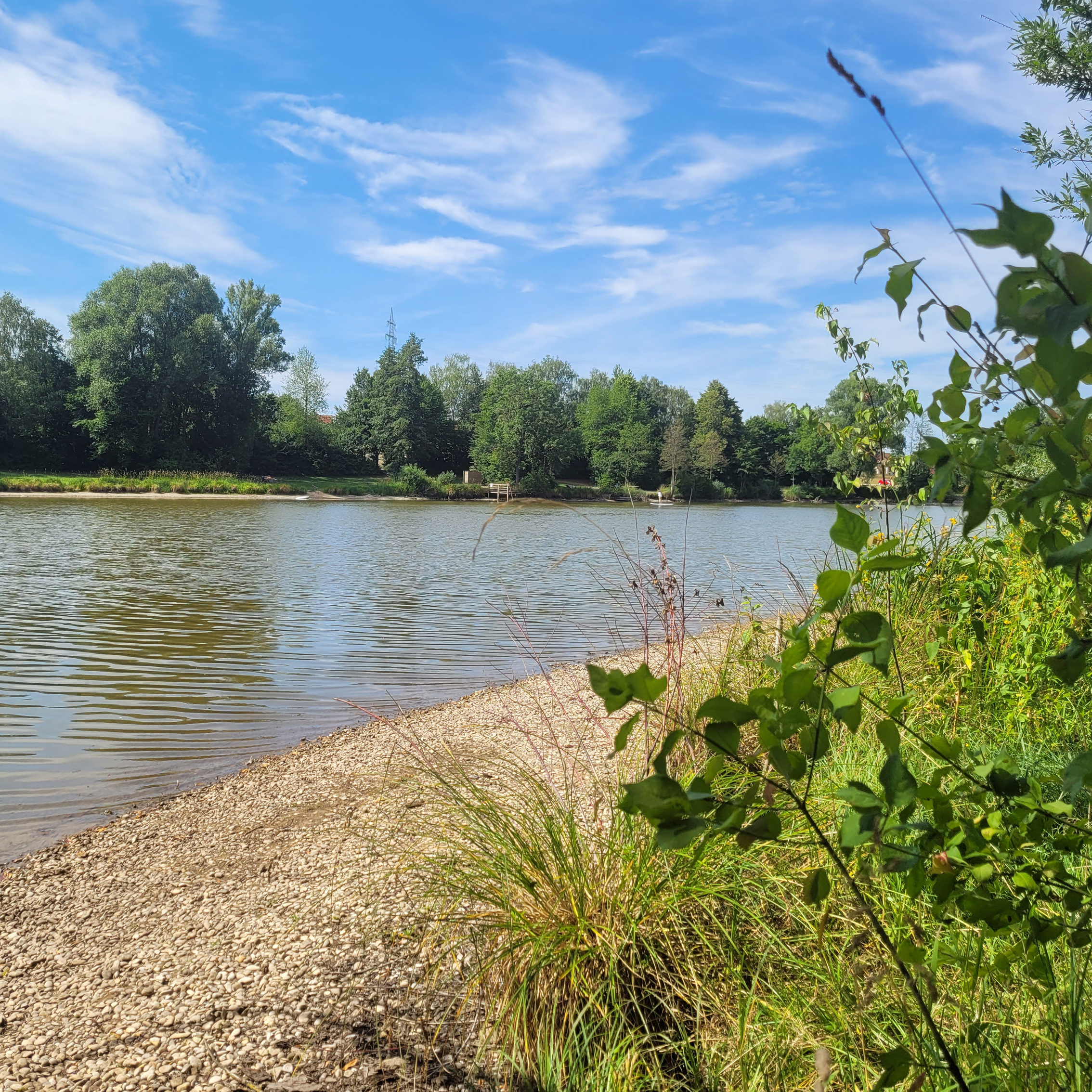 Rückhaltebecken Kobeltsmühle Dinkelsbühl: Blick auf das Südufer