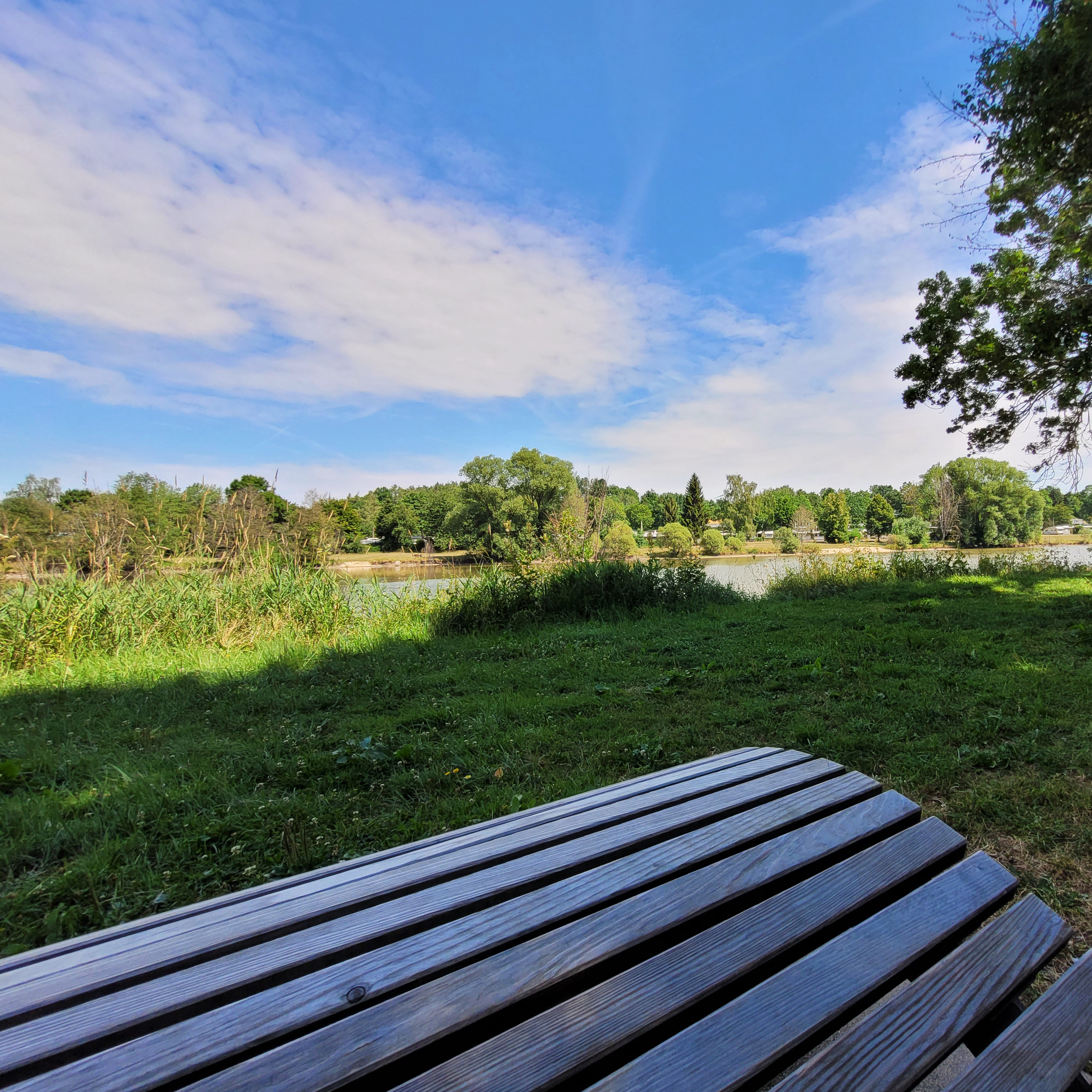 Kobeltsmühle Rückhaltebecken Dinkelsbühl: Die Ruhebank im Schatten