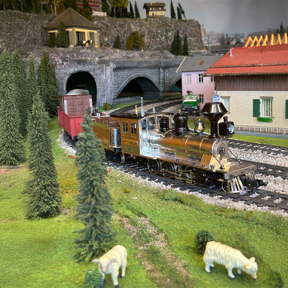 Modelleisenbahn der Modell-und Eisenbahnfreunde Dinkelsb&uuml;hl