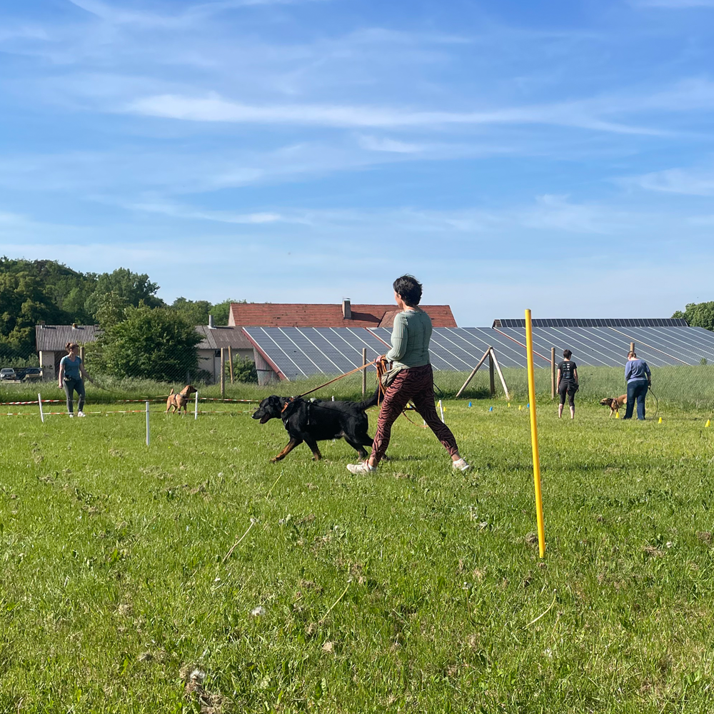 Training bei 