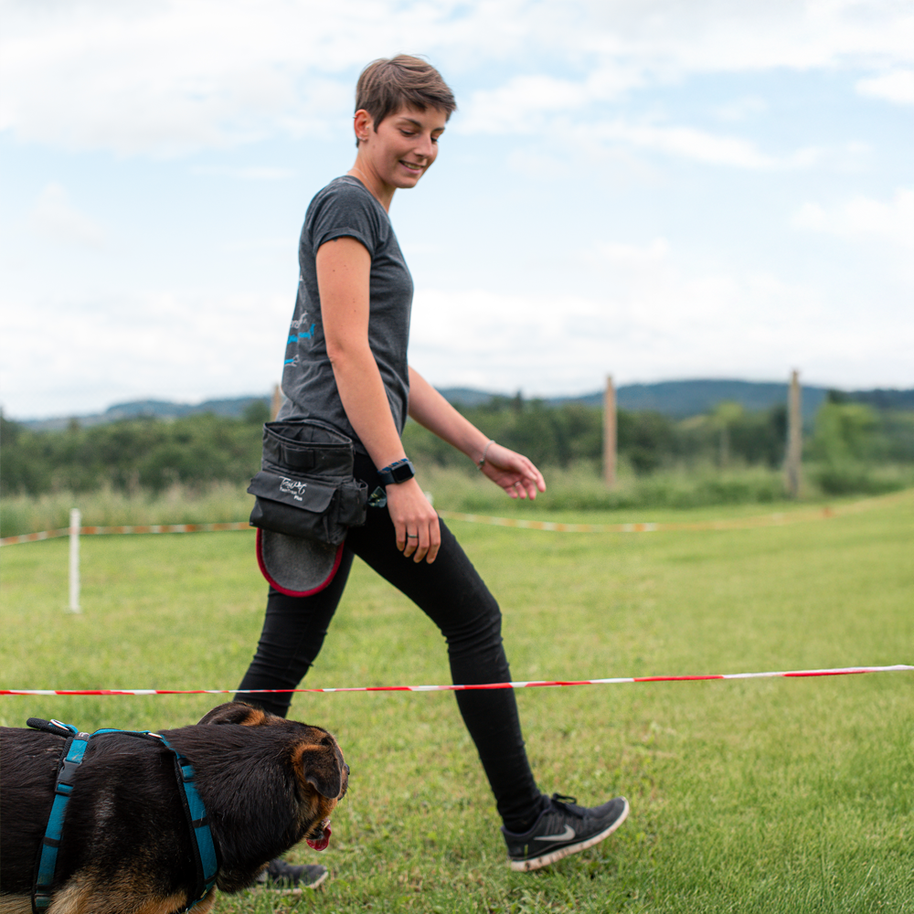 Training in der Hundeschule 