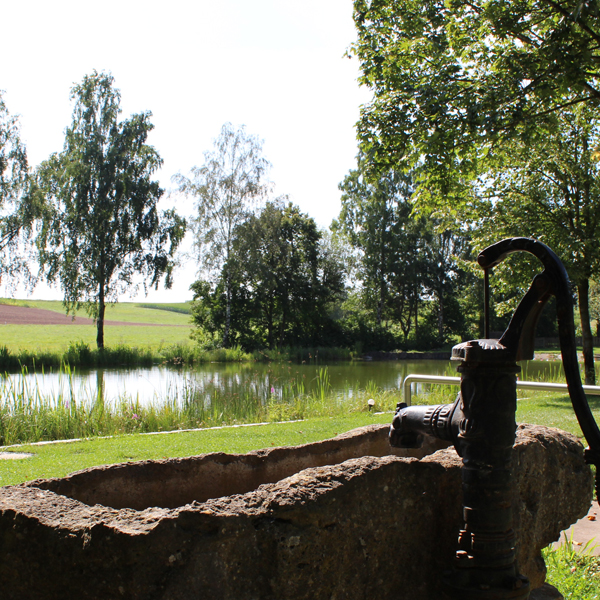 Naturbadeweiher Nordenberg: Trog mit Wasserpumpe