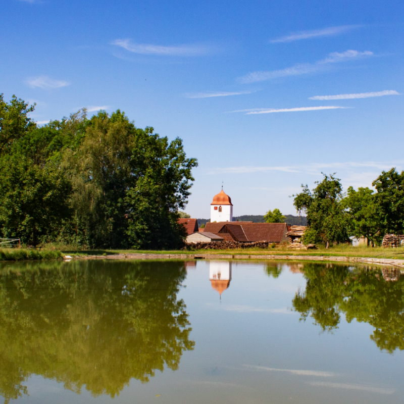 Blick auf Mosbach 