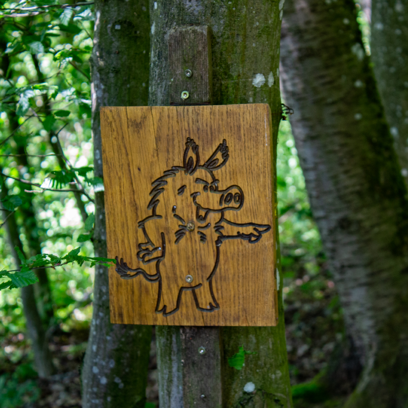 Max Keiler vom Naturlehrpfad Reichardsroth bei Ohrenbach zeigt den Weg