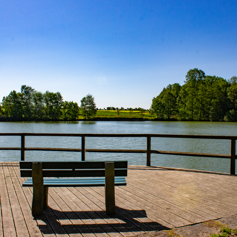 Reichardsrother Weiher 