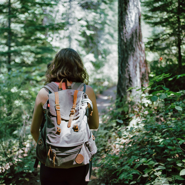 Wanderin um Wald